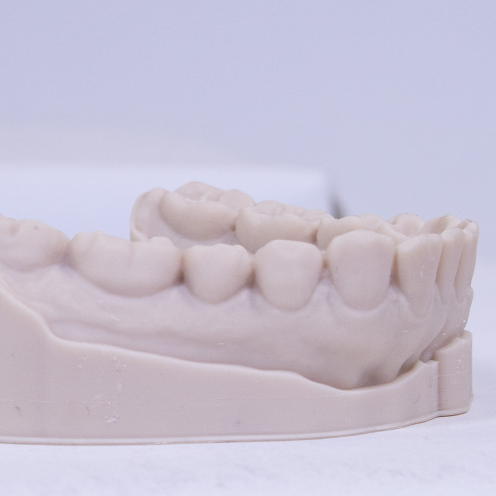 PRECISE HD Dental Model Resin for MSLA LCD printers.