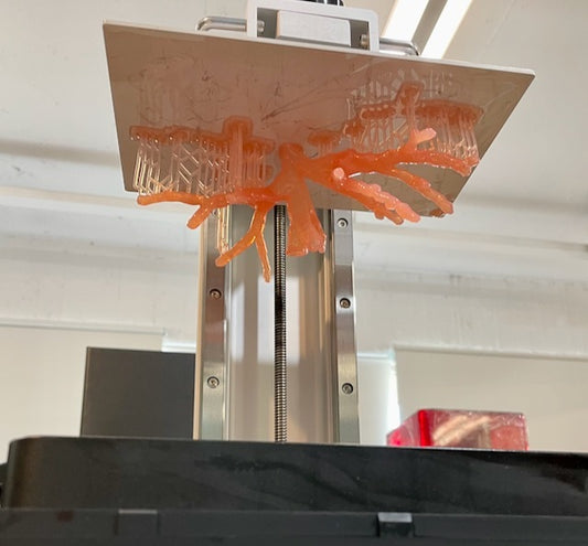 ApplyLabWork MSLA spring Pink flexible resin for LCD printers