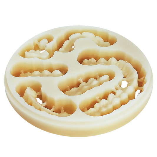 Polident Pmma Multilayer 98.5mm milling Disc