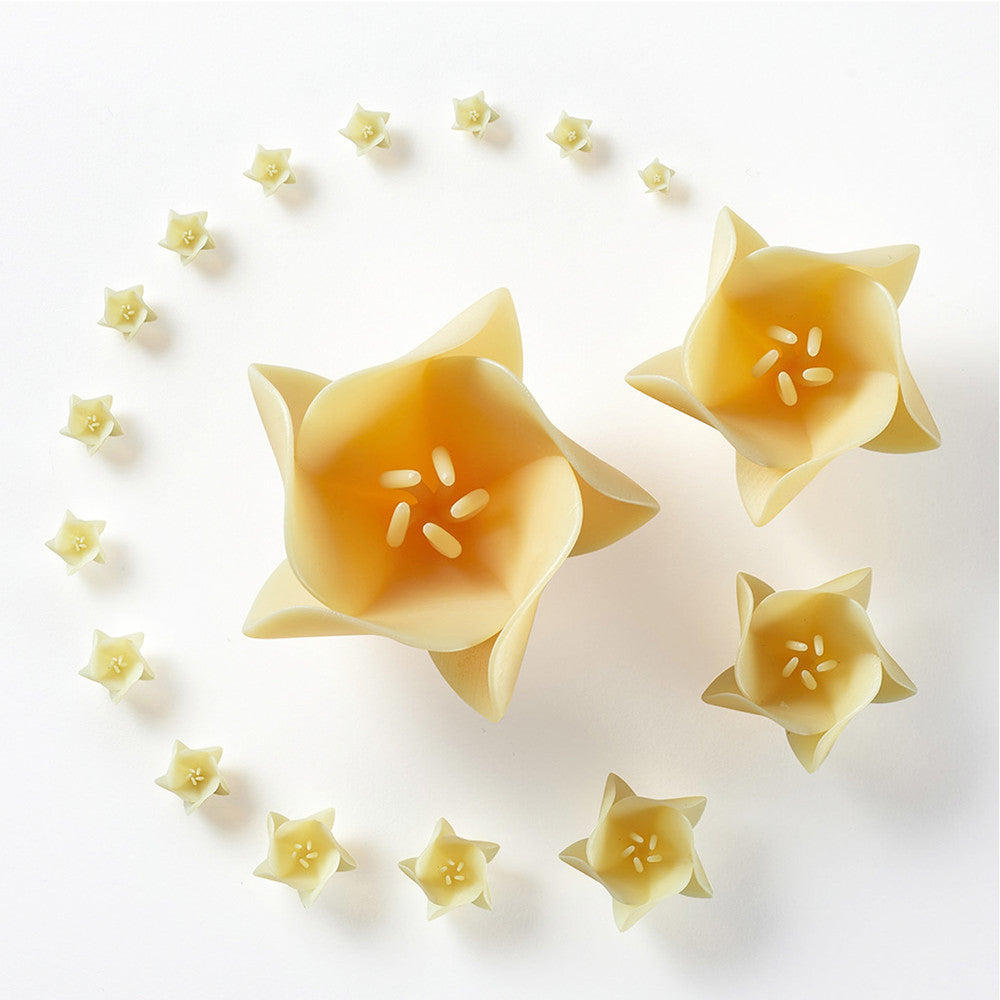 Applylabwork Laser Expert Tan  Model resin 1Kg