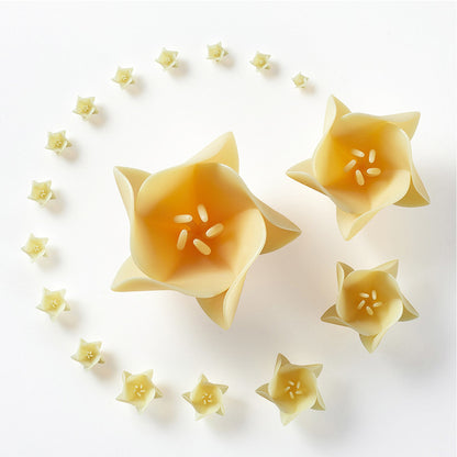 Applylabwork Laser Expert Tan  Model resin 1Kg