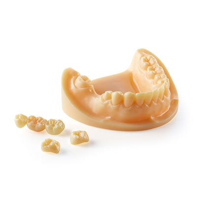 Applylabwork Laser Expert Tan  Model resin 1Kg