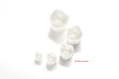 Applylabwork Laser model white resin 1 litre