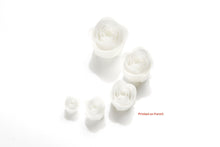 Load image into Gallery viewer, Applylabwork Laser model white resin 1 litre