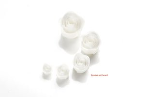 Applylabwork Laser model white resin 1 litre