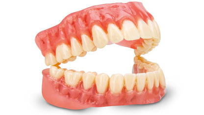 Dima Denture Base Resin for Asiga printers