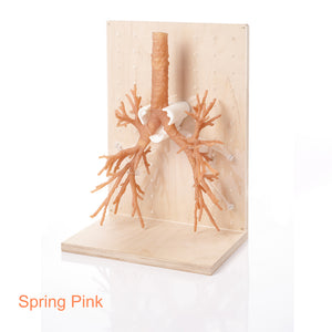 ApplyLabWork MSLA spring Pink flexible resin for LCD printers